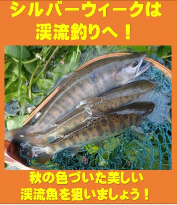 電気ぶりロッド ルアーロッド | alphatackle