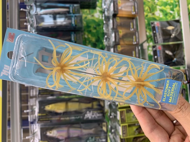 コイケ17mm クジャラ　エラストマーセット コイケ17mm クジャラ エラストマーセット コイケ17mm クジャラ