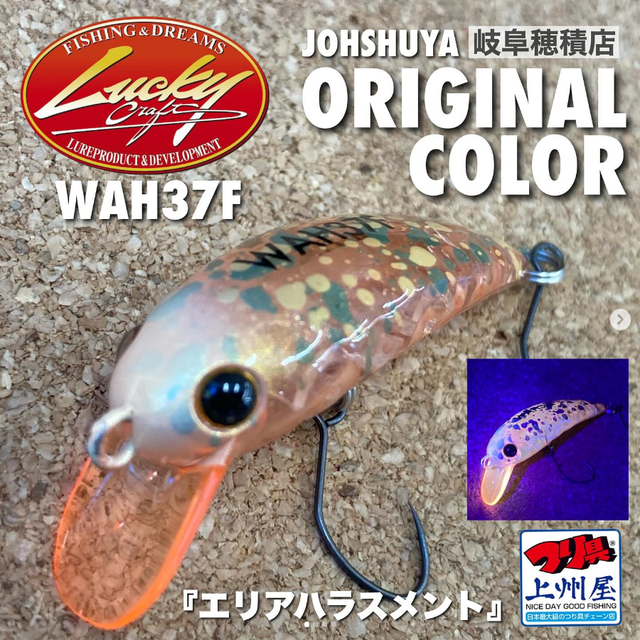 chokichoki60 ショップオリカラ15個 chokichoki60様専用 ショップオリカラ15個