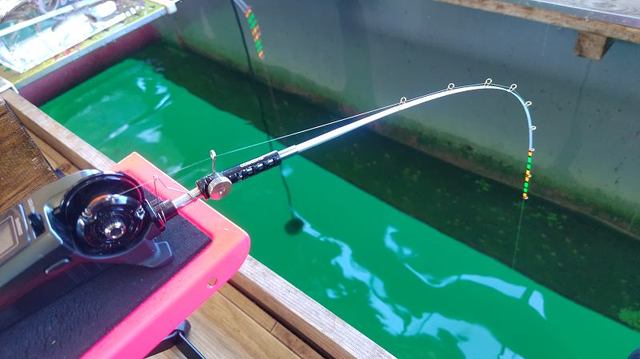 ト*ん様 CREEK ERUZA #8 ワカサギ竿 つり具の上州屋 - あなたのフィッシング＆アウトドアライフを