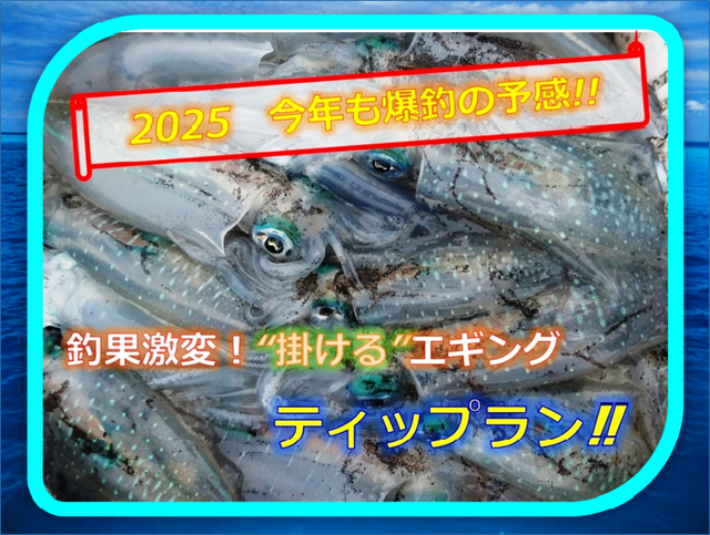 フォルテ　オリカラ 夏のオリカラ新色、始動します！ – maniac's BLOG