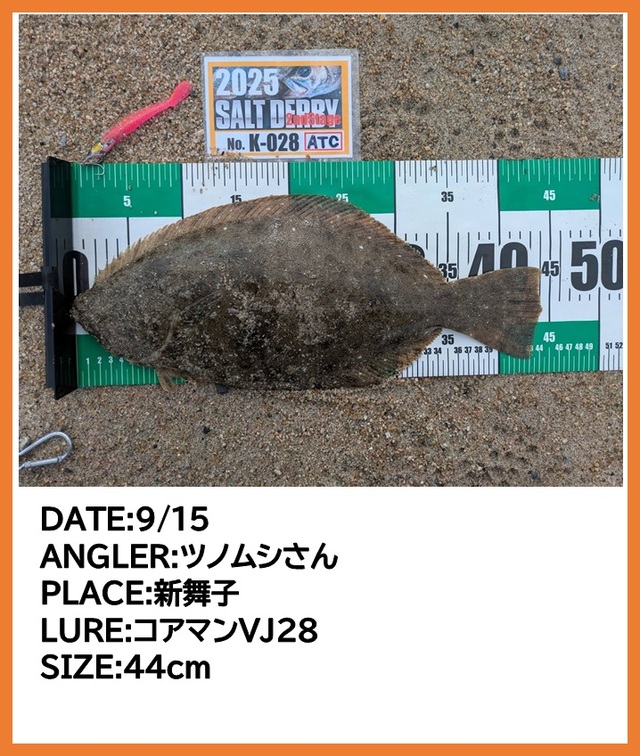 【とんび】カルコンBFS、レラカムイセット とんび】カルコンBFS、レラカムイセット とんび】カルコンBFS