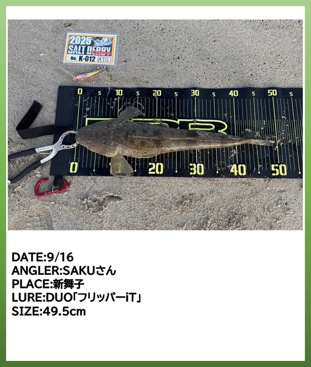 ハリソン スーパーフロッグ ガイドブック&マジックマン2冊セット