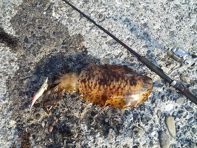 つり具の上州屋 - あなたのフィッシング＆アウトドアライフを