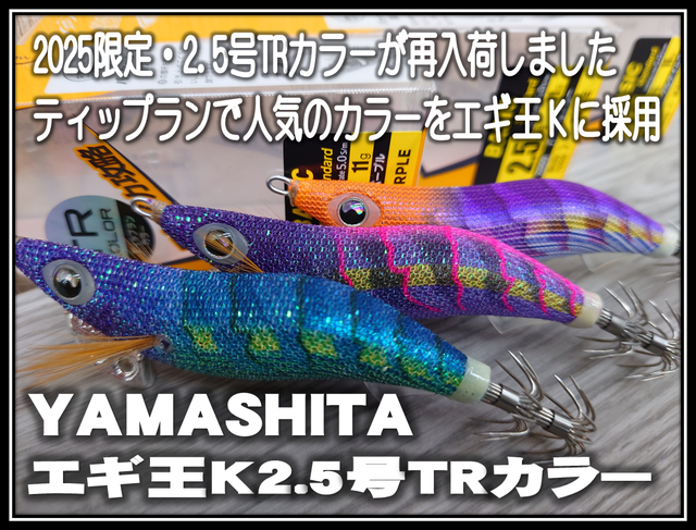 【希少カラー・釣れ筋カラー充実】ダートマックスTR30g12本セット！ 希少カラー・釣れ筋カラー充実】ダートマックスTR30g12本セット