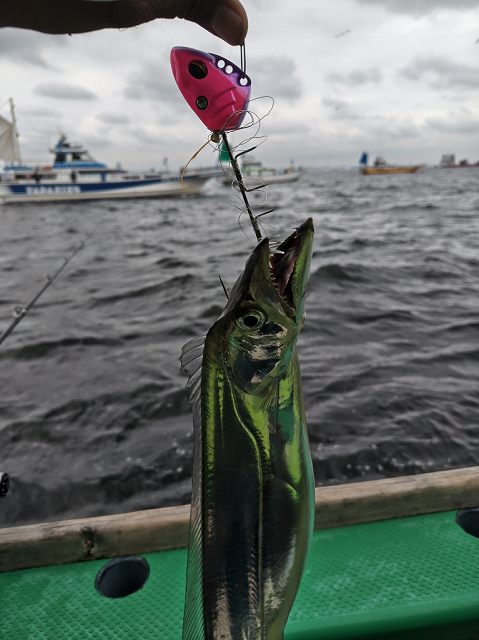 江戸川作カーボン4.8m本調子 つり具の上州屋 - あなたのフィッシング＆アウトドアライフを