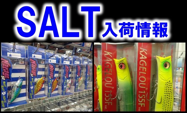 ほ*か様 シマノ 本流 テンカラ 44 NP 廃盤品 ほ*か様 シマノ 本流 テンカラ 44 NP 廃盤品