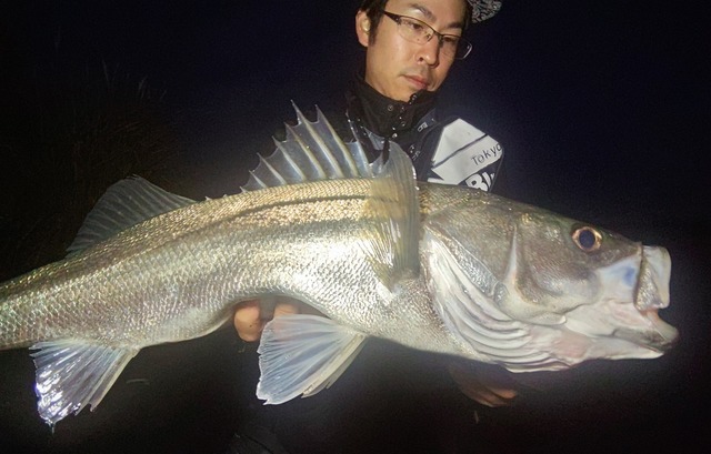 はなぽんさん専用　トラウトロッドリールセット C2000SHG つり具の上州屋 - あなたのフィッシング＆アウトドアライフを