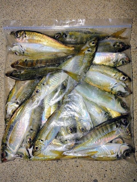 つり具の上州屋 - あなたのフィッシング＆アウトドアライフを