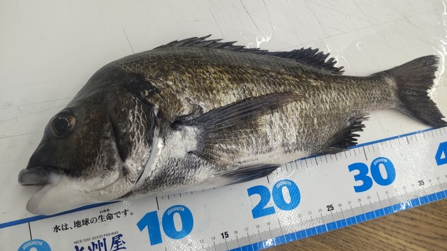 つり具の上州屋 - あなたのフィッシング＆アウトドアライフを