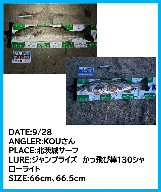 疾風　鬼龍（31センチ） 疾風 鬼龍（31センチ） 疾風鬼龍（31センチ）