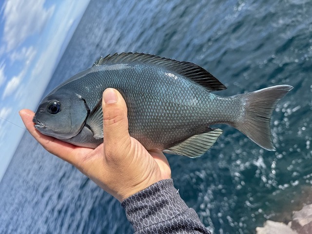 一応キーパーサイズなんだけどね・・・