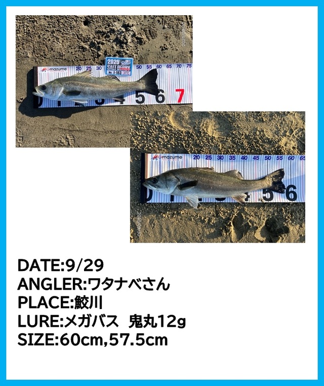 CREEK JUGGLER　ワカサギ竿　2本 つり具の上州屋 - あなたのフィッシング＆アウトドアライフを