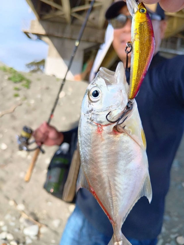 ジーク　ヴェルザード97 ロッド　サーフ　ショアジギング Zeake ジーク ショアジグロッド ヴェルザード VSJG97【即日発送】: 竿