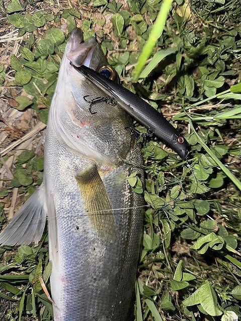 つり具の上州屋 - あなたのフィッシング＆アウトドアライフを