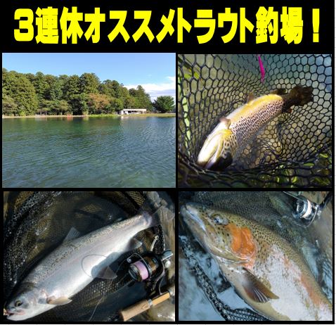 超超大量！超お得！バス釣り　まとめ売り　おまけ付き♡ 超超大量！超お得！バス釣り まとめ売り おまけ付き♡