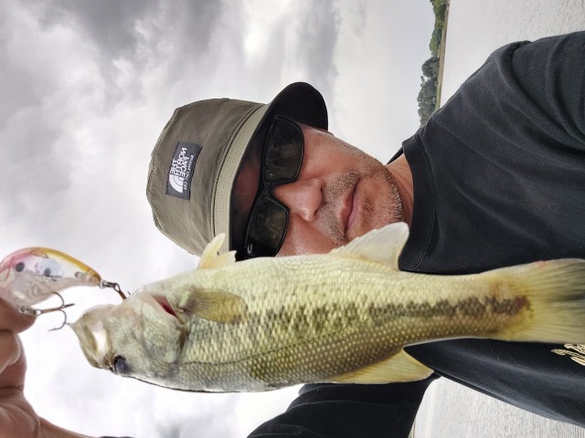 お父さんバス連れて来てください