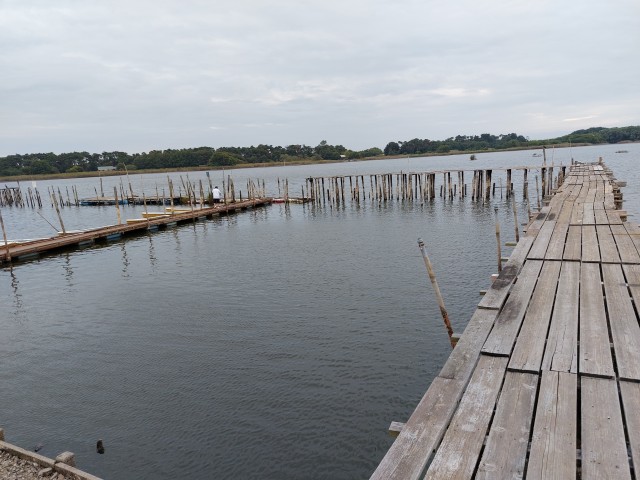 この先端で沖に投げてました。