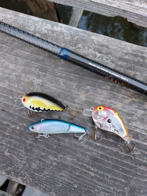 当日ヒットがあったルアー