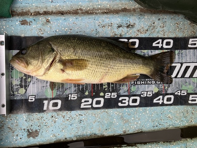 つり具の上州屋 - あなたのフィッシング＆アウトドアライフを