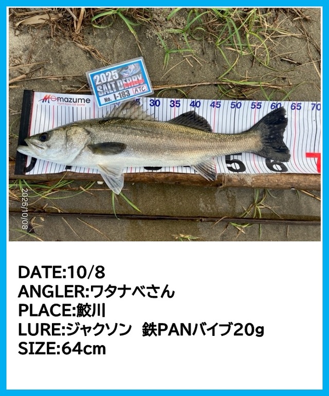 JJ CUSTOM RODS IMPACT 限定版 2本セット JJCUSTOM RODS IMPACT (SECOND) 2本セット