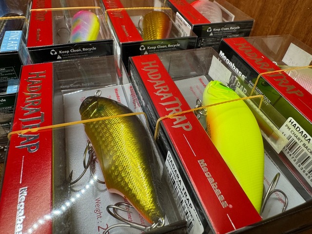 ジャイアントベイト グランツ」の特別生産モデル！最大2㎏までキャスト可能な【GLANZ