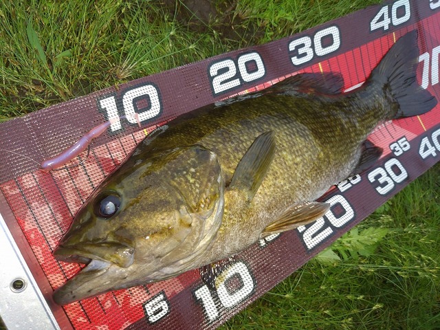 つり具の上州屋 - あなたのフィッシング＆アウトドアライフを