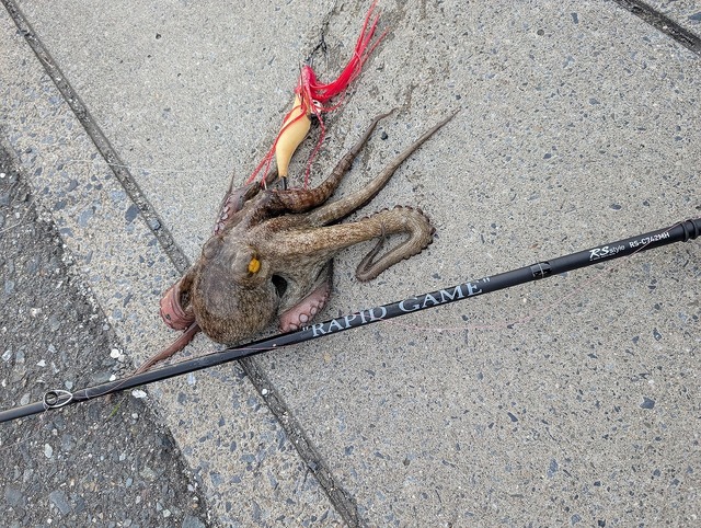 つり具の上州屋 - あなたのフィッシング＆アウトドアライフをサポート