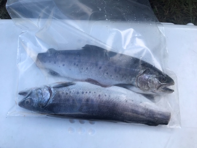 ３３歳からの週末のアングラー つり具の上州屋 - あなたのフィッシング＆アウトドアライフを