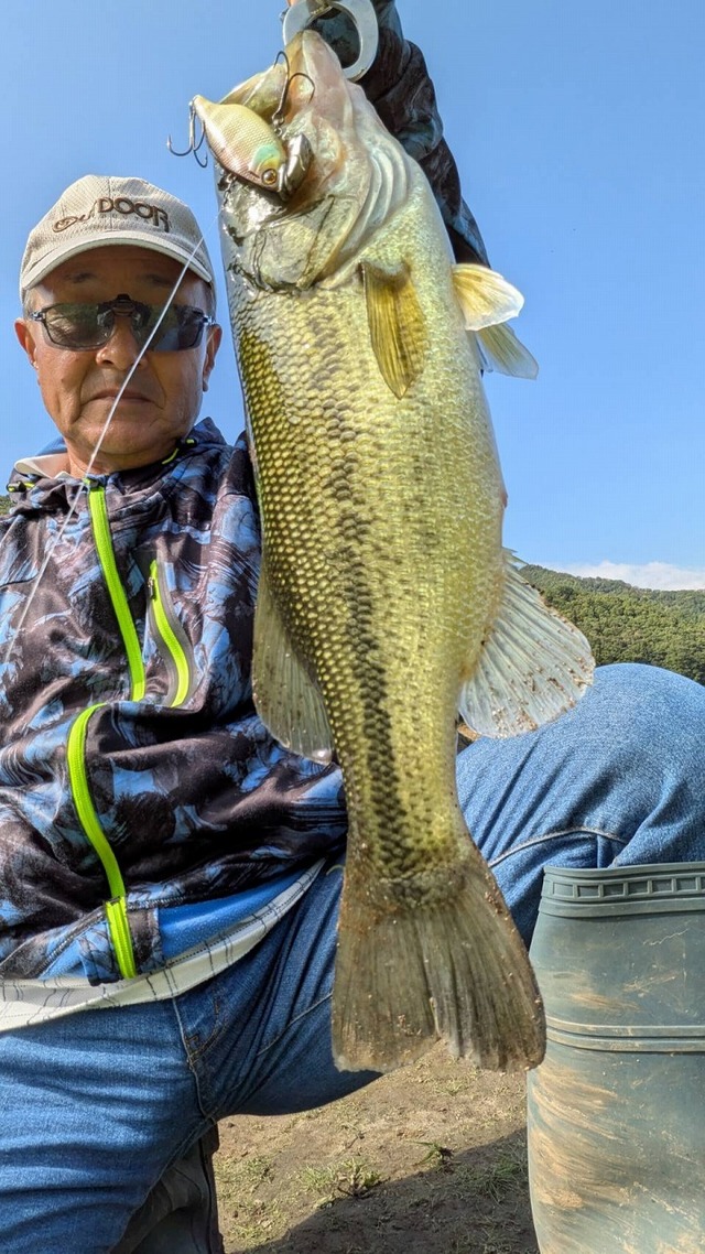 KIZAKURA ZENSOH FISHING フィッシングジャケット 楽天市場】キザクラ 2220 ZENSOH Let's ゼンソウ レッツ L B