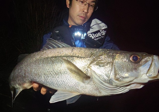 クリークジャグラー1本 maxresdefault.jpg