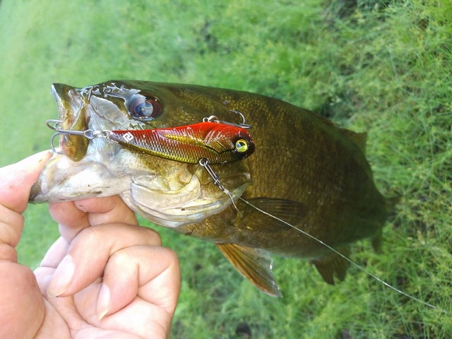 つり具の上州屋 - あなたのフィッシング＆アウトドアライフを