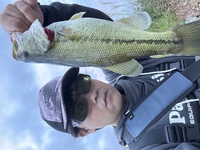 エイテック 海人 エギタコ リミテッド 175 タコ釣り真っ盛り!!】2022年限定生産「海人餌木タコ175LTD」って