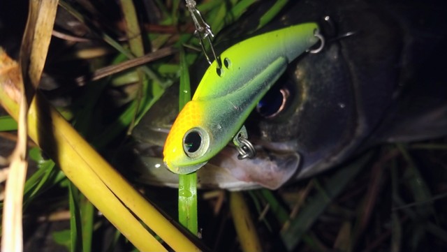 つり具の上州屋 - あなたのフィッシング＆アウトドアライフを