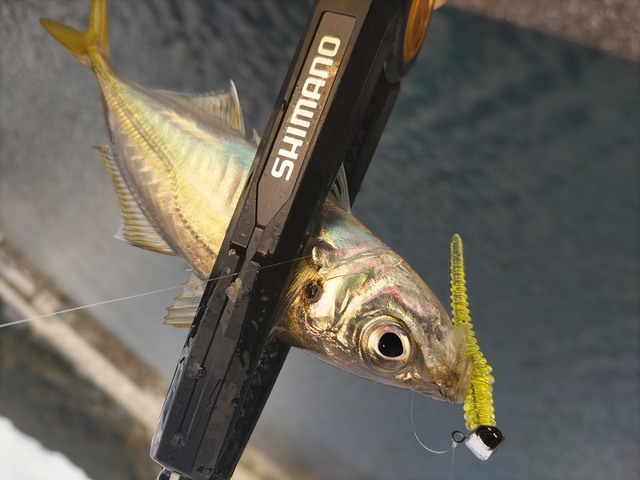 カゲロウセット 2025年最新】カゲロウ セットの人気アイテム - メルカリ