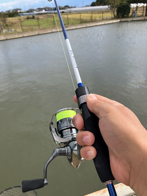 オフィスユーカリ フルハウス58UL FH 楽天市場】オフィスユーカリ ジョーカー フルハウス 58UL