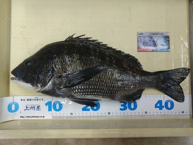 つり具の上州屋 - あなたのフィッシング＆アウトドアライフをサポート