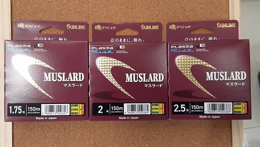 化石　メタプラセンチセラス　香川塩江内場　65mm つり具の上州屋 - あなたのフィッシング＆アウトドアライフをサポート