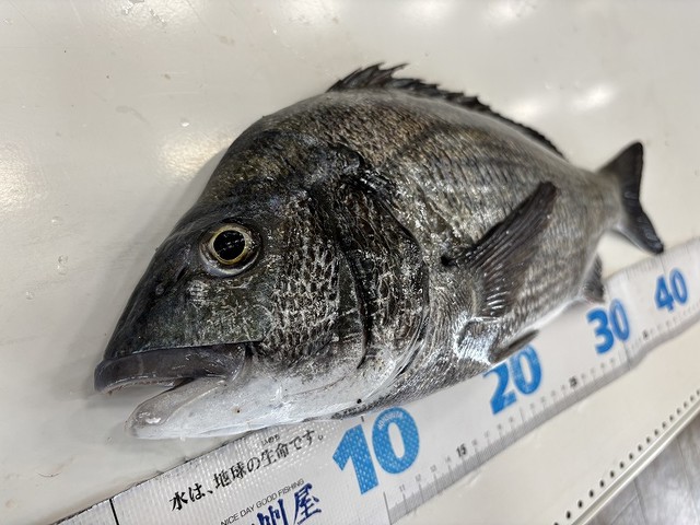 つり具の上州屋 - あなたのフィッシング＆アウトドアライフをサポート