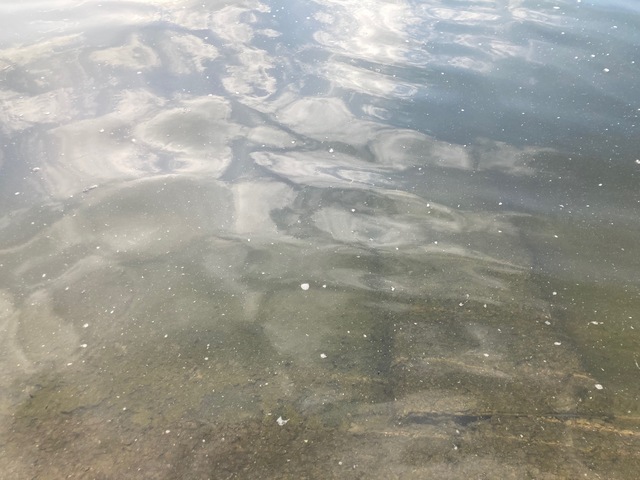 どクリアな水色。