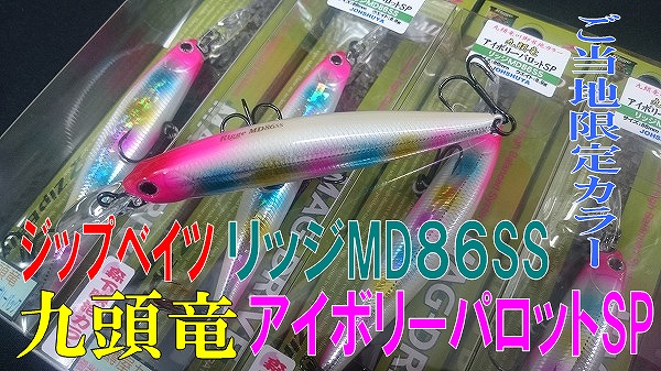 Havfram初のSEP起重機船「Norse Wind」進水