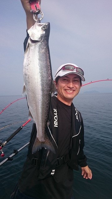 ⑰薩摩琵琶用 撥・黄楊（27.３cm） ㊳薩摩琵琶用 撥・黄楊（27.7cm） - メルカリ