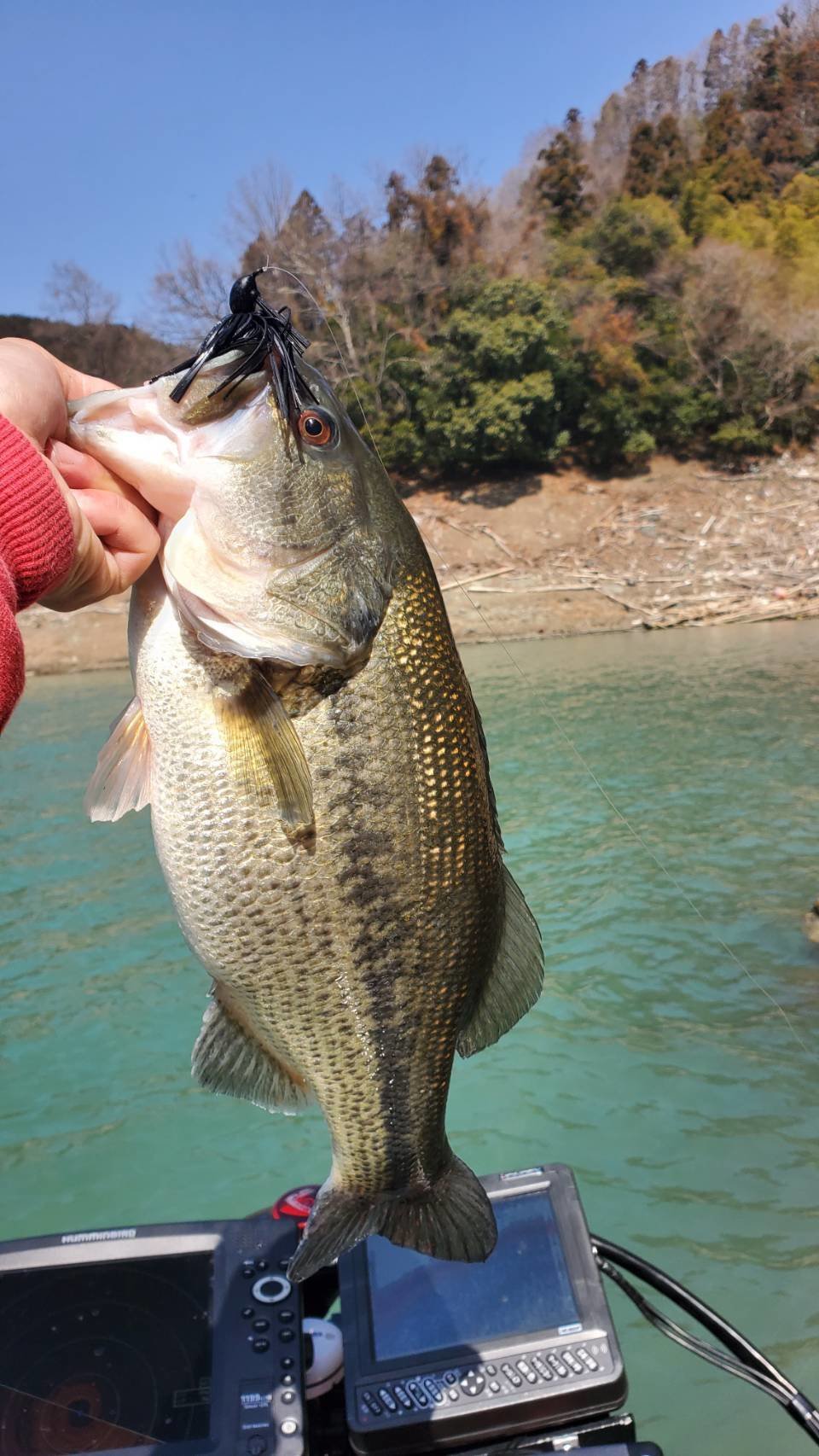 前橋店の釣り情報｜つり具の上州屋 - あなたのフィッシング