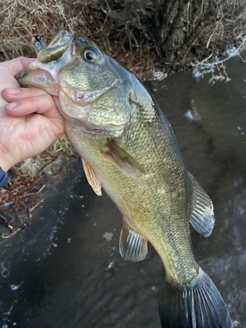 上州屋釣り情報｜つり具の上州屋 - あなたのフィッシング＆アウトドア