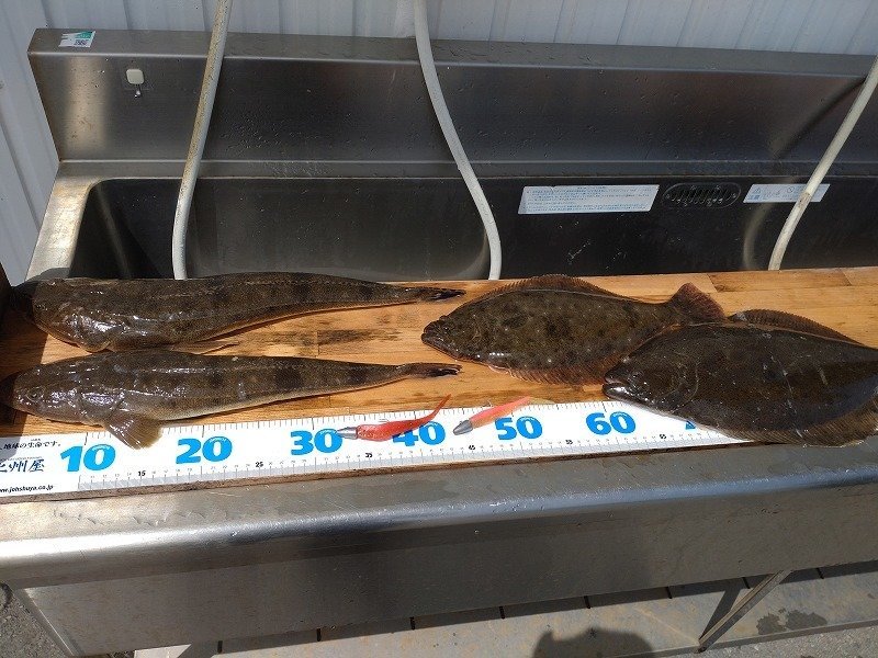 新高岡店の釣り情報｜つり具の上州屋 - あなたのフィッシング