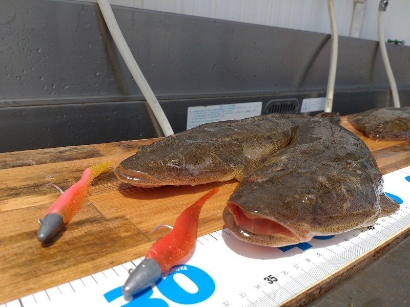 新高岡店の釣り情報｜つり具の上州屋 - あなたのフィッシング