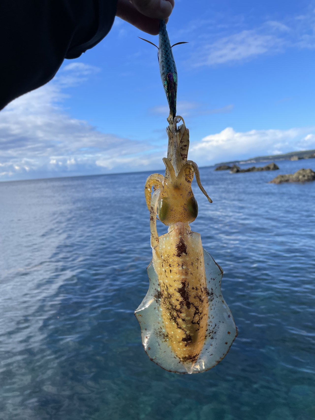新潟赤道店の釣り情報｜つり具の上州屋 - あなたのフィッシング＆アウトドアライフをサポート