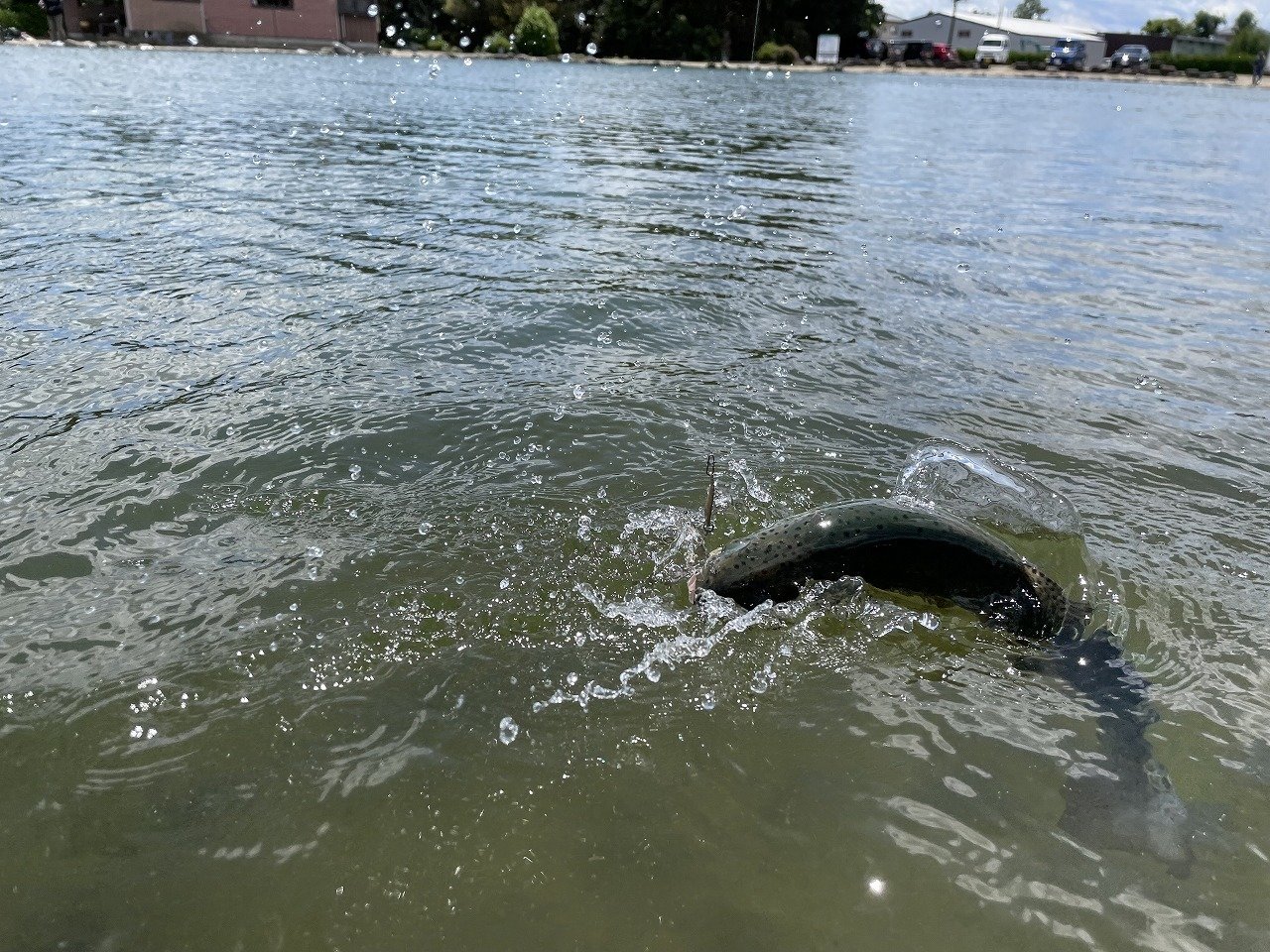 上州屋釣り情報｜つり具の上州屋 - あなたのフィッシング＆アウトドア