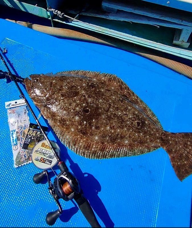 横須賀中央店の釣り情報｜つり具の上州屋 - あなたのフィッシング