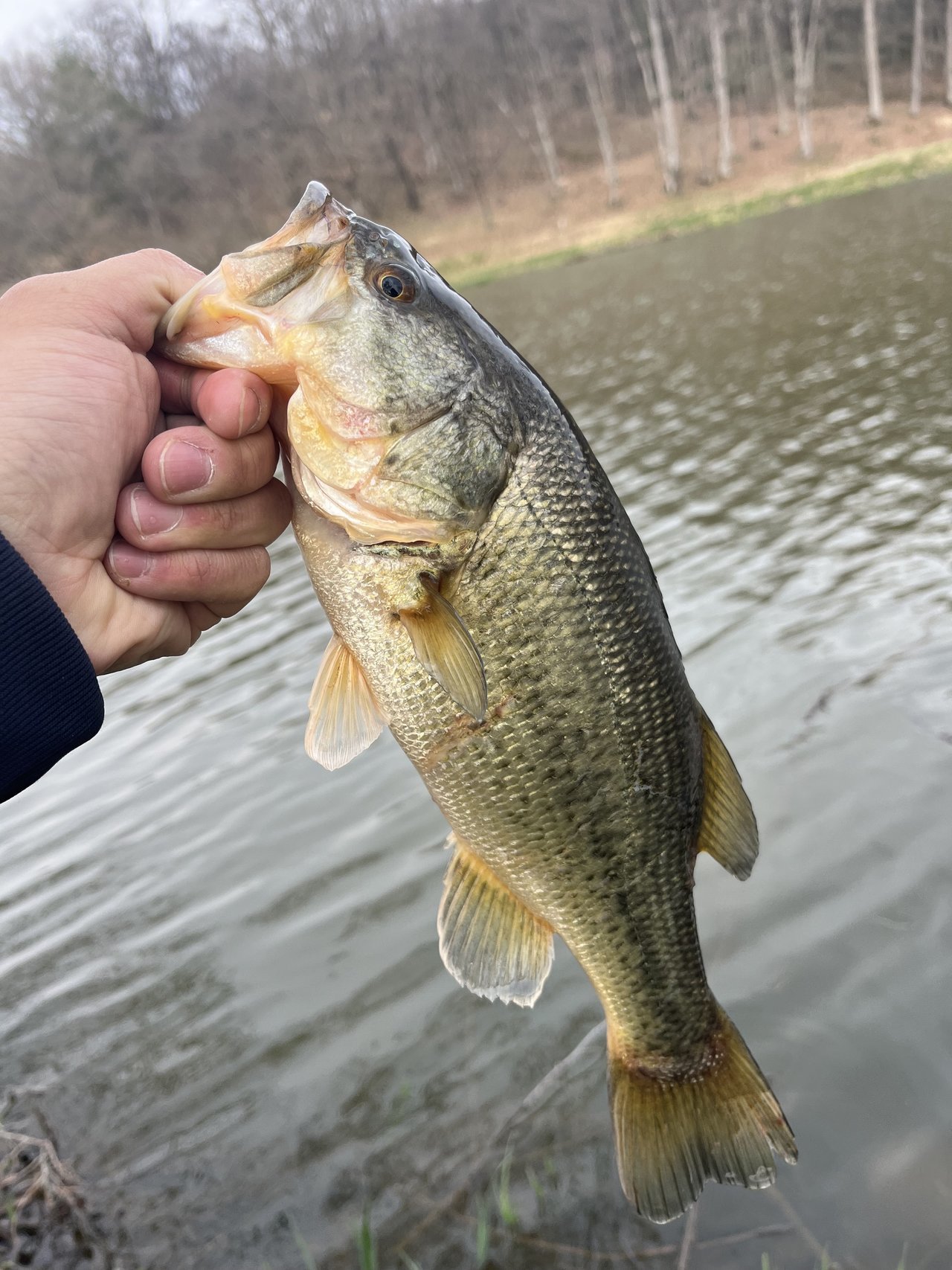 長野店の釣り情報｜つり具の上州屋 - あなたのフィッシング